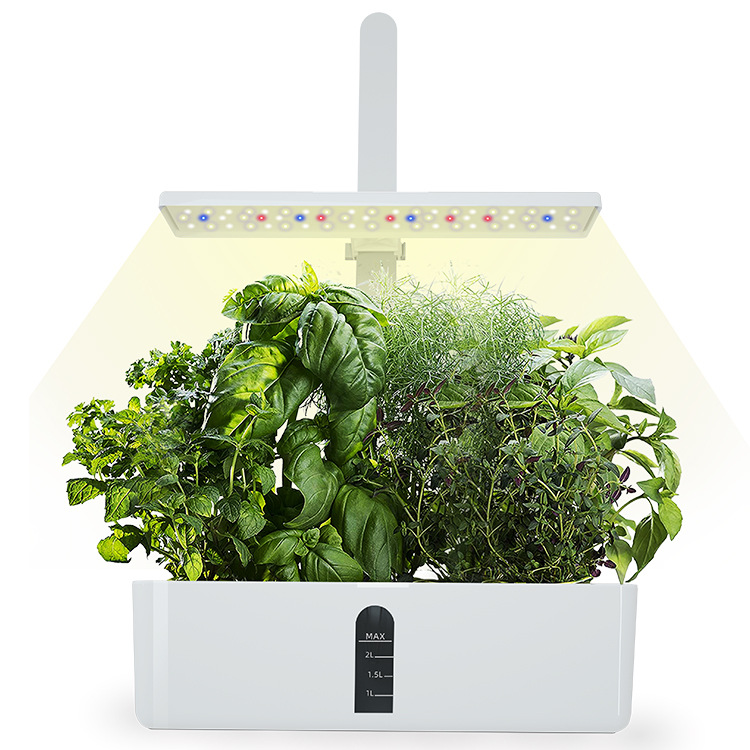 <b>Smart Hydroponic system for family</b>